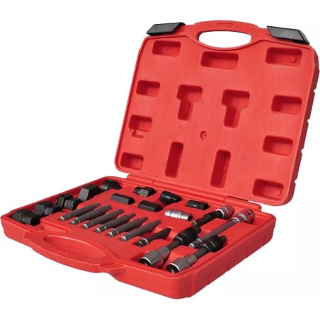 vidaXL Satz zum Ausbau des Lichtmaschinenrads, 22-teilig