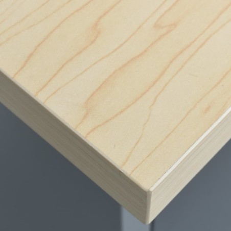 vidaXL Arbeitstisch, schwarz, 120 x 60 x 85 cm, Stahl