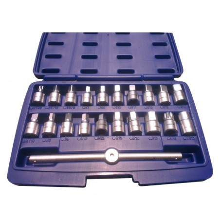 Asta Steckschlüsselsatz für Ölstopfen (A-GE2405N21)