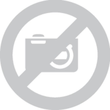 Stabila Trap mit Halterung REC 300 DIGITAL STABILA