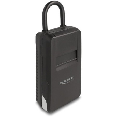 Delock Schlüsseltresor mit Bügel zur Aufbewahrung