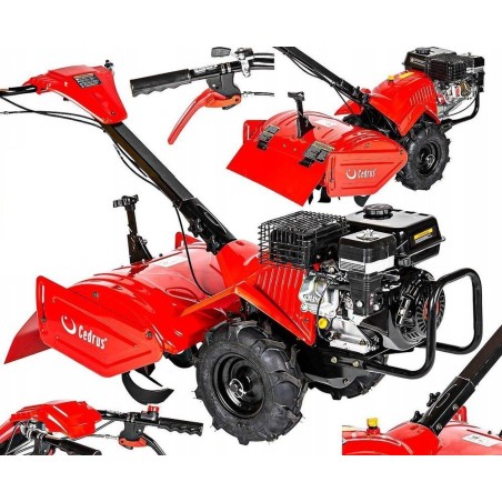 Motorhacke Cedrus GLX-GT65-2L