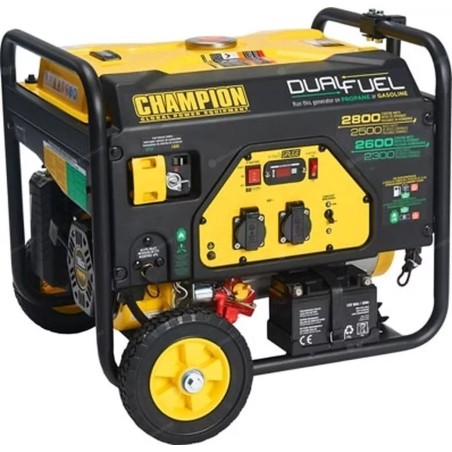 Champion-Stromaggregat Champion CPG3500E2-DF-EU