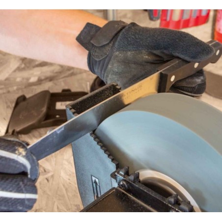 Scheppach-Schleifmaschine BG200W