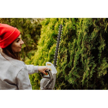 Lehmann Brodsworth Elektroschere 45 cm