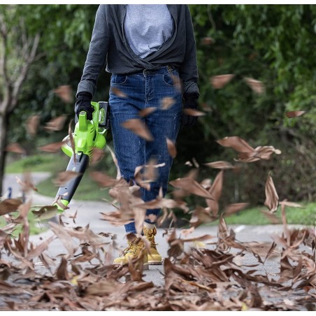 Greenworks Laubbläser GD24X2BV (GR2405307)