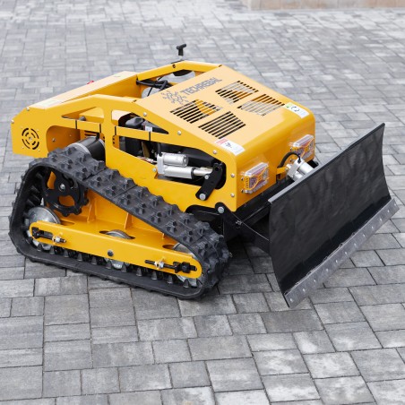 Rasenmäher und Schneefräse NevePrato 550 (JY-550)