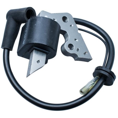 Zündmodul Robin Ey20 At603-Rby20-00