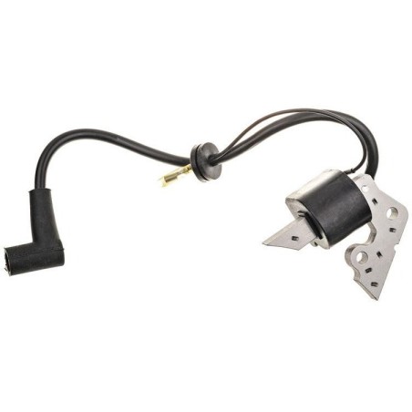 Zündmodul Robin Ey15 Ry 20 490028