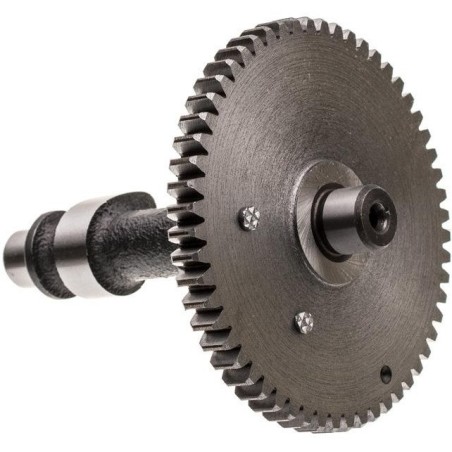 Nac Ama Riwall Texas T675 Nz608-Nockenwelle für Rasenmäher