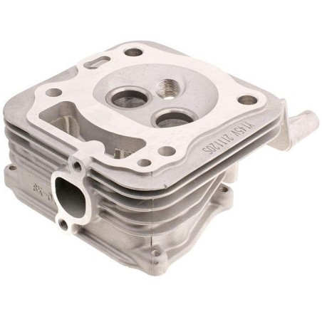 Zylinderkopf für Cedrus Y145V 481358