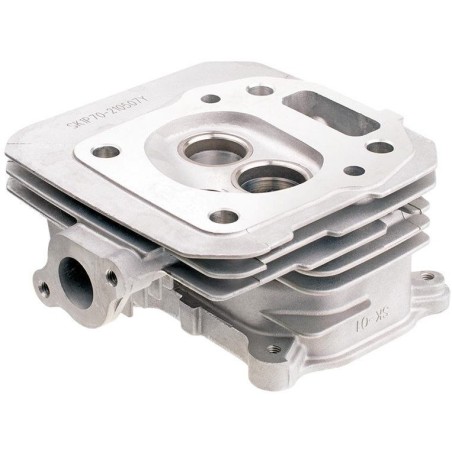 Kopf Cedrus Y196V 480499