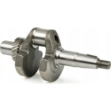 Tvardy Kurbelwelle für Aggregat T05012 (1)