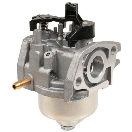 Vergaser Cedrus Motor Y145V 482043