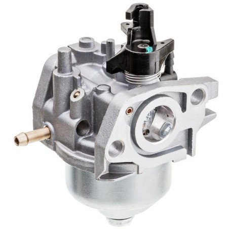 Vergaser Cedrus Y139V 480394