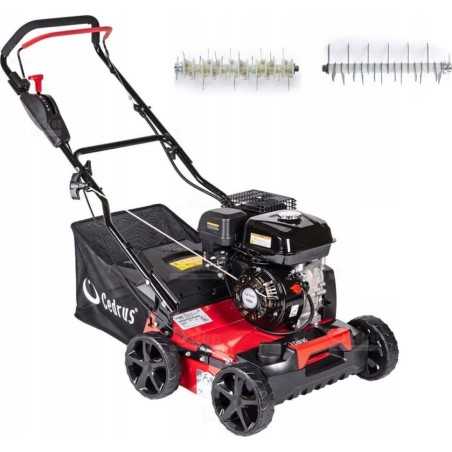 Cedrus Benzin-Vertikutierer und Rasenbelüfter 2-in-1, 5,5 PS (WR01)