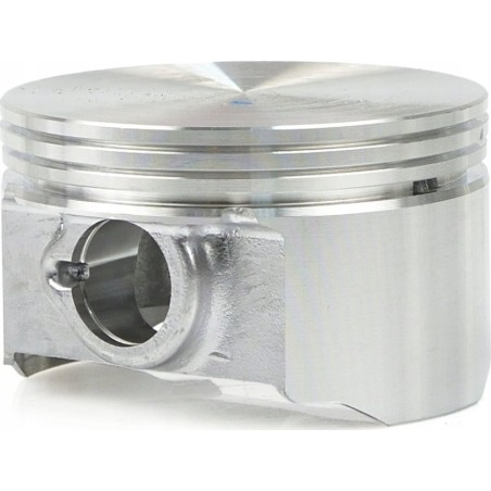 Tvardy Kolben für Aggregat T05012 (1)